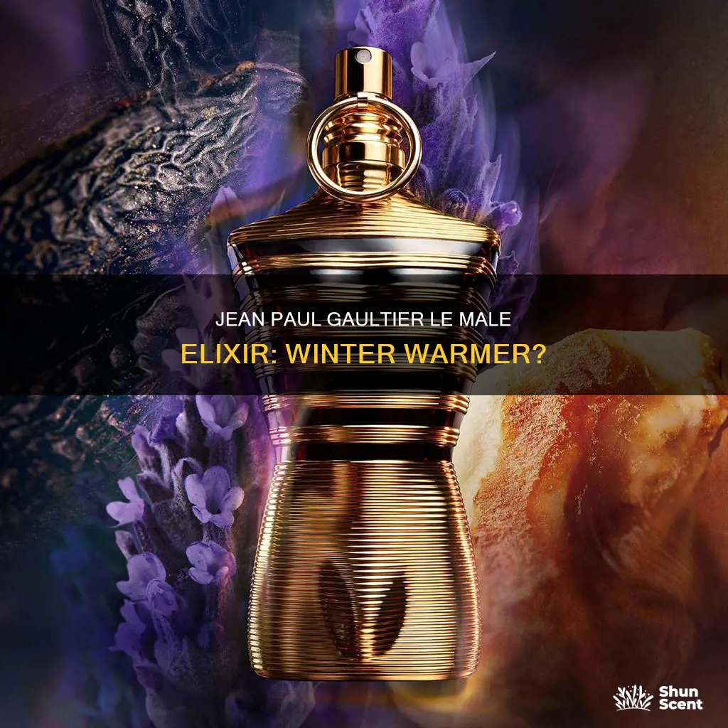 is jean paul gaultier le male elixir a winter fragrance