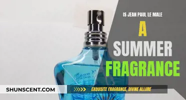 Jean Paul Gaultier Le Male: The Perfect Summer Scent?