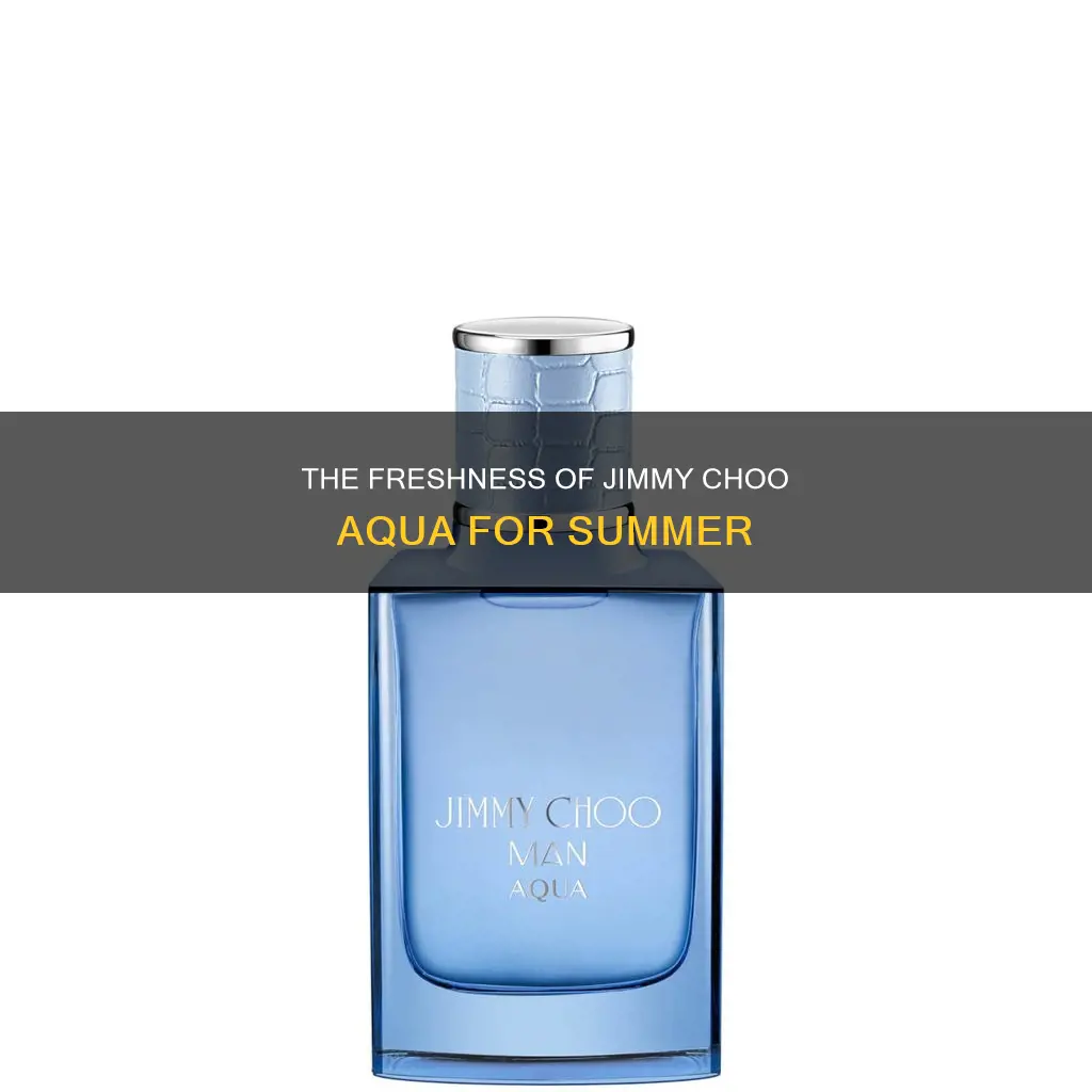 is jimmy choo aqua a summer fragrance
