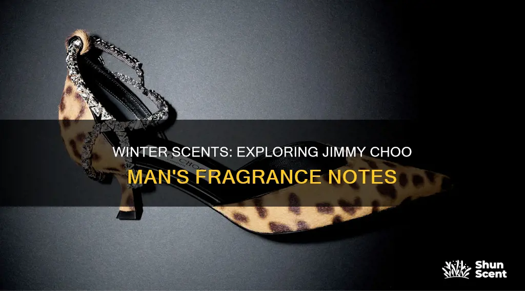 is jimmy choo man a winter fragrance