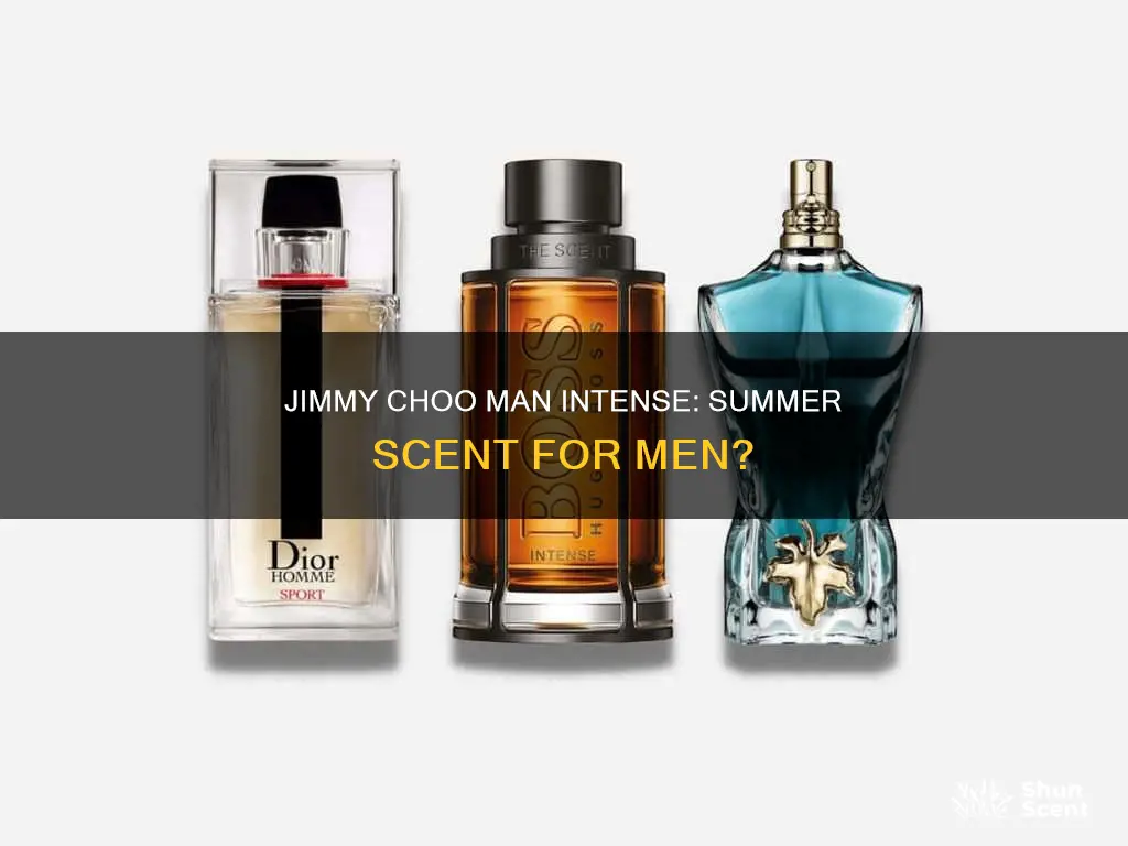is jimmy choo man intense a summer fragrance