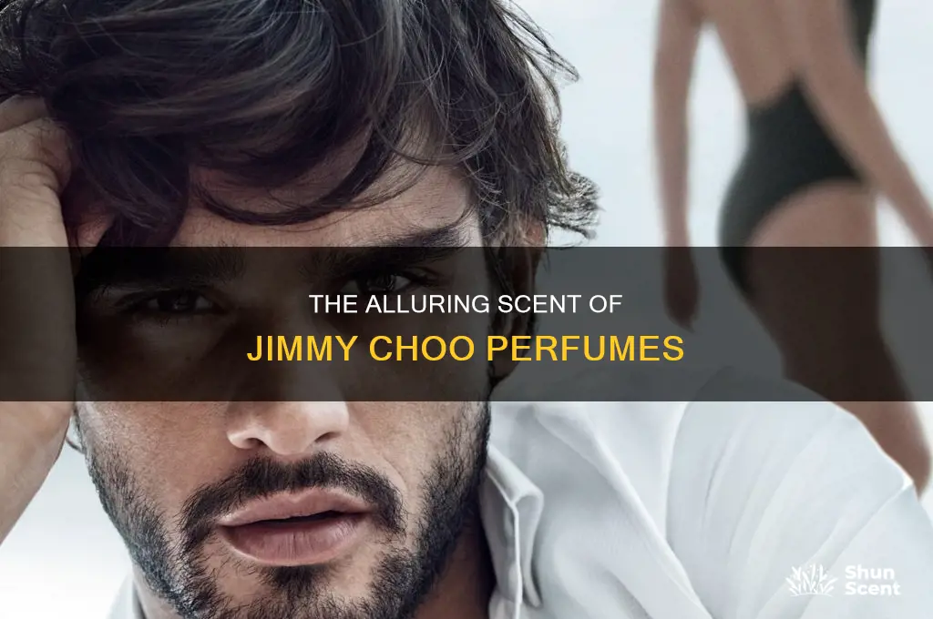 is jimmy choo perfume nice