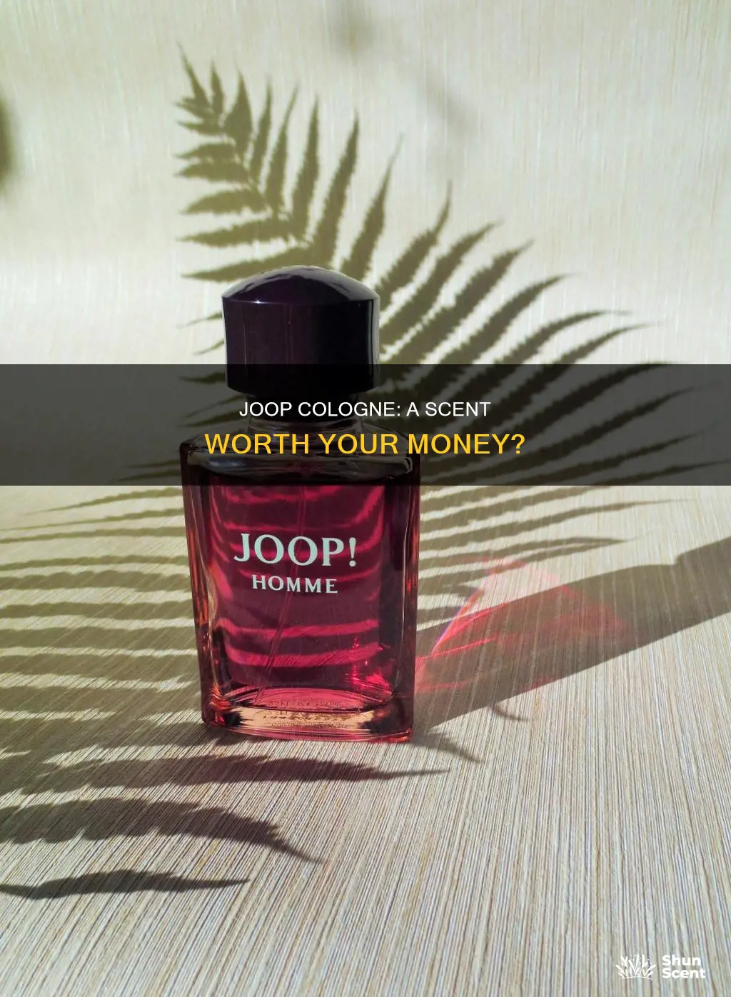 is joop cologne good