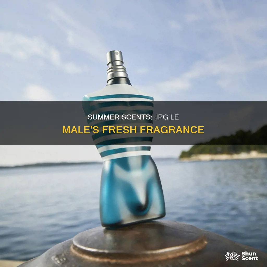 is jpg le male a summer fragrance