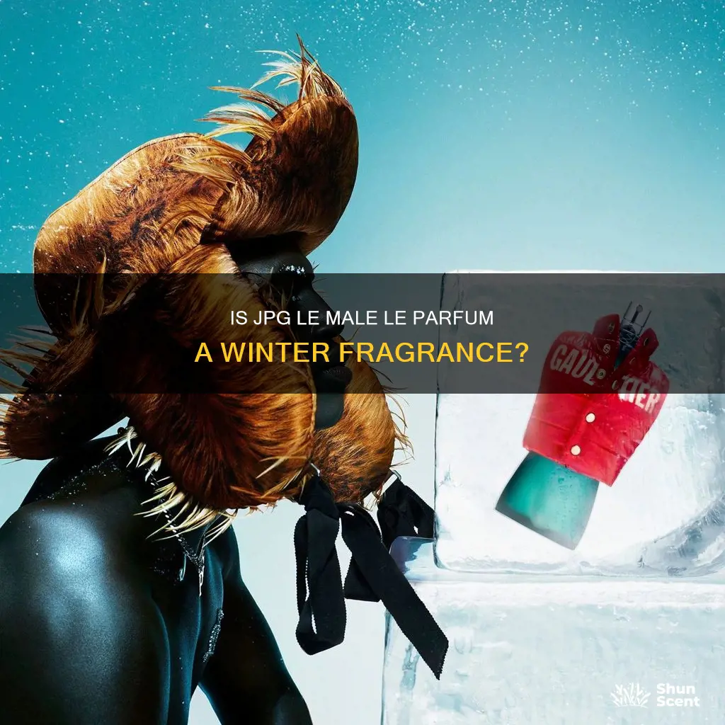 is jpg le male le parfum a winter fragrance