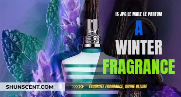 JPG Le Male: A Winter Fragrance?