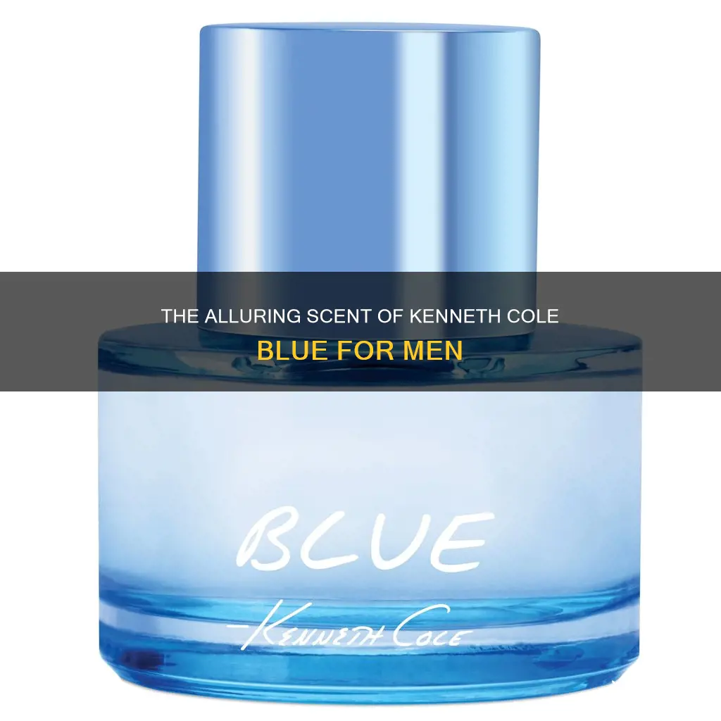 is kenneth cole blue men