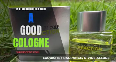 Kenneth Cole Reaction: A Good Cologne Choice?