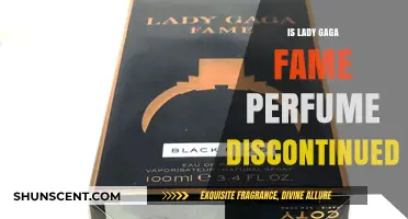 Lady Gaga's Fame: Discontinued or Still Available?