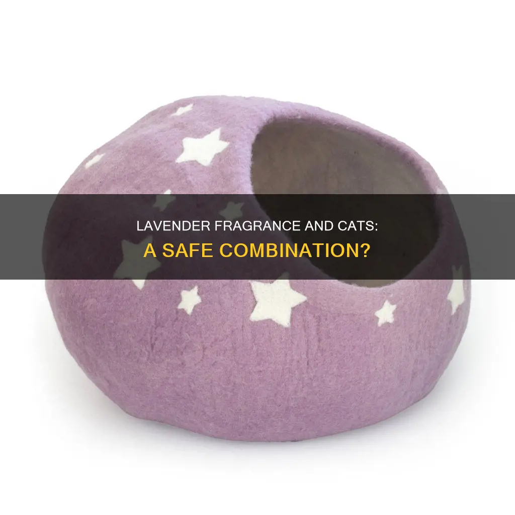 is lavender fragrance safe for cats