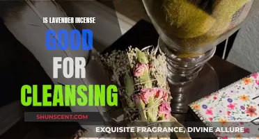 Lavender Incense: A Cleansing and Soothing Experience