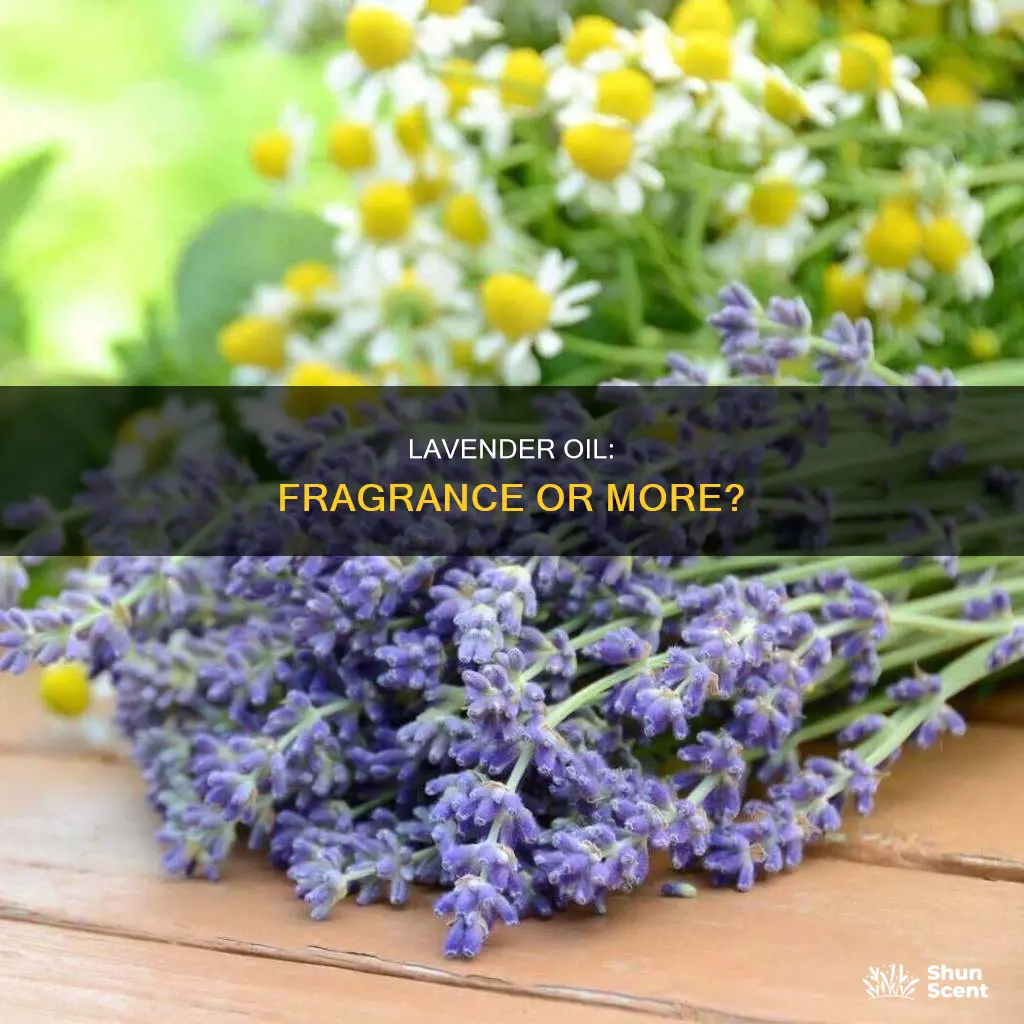 is lavender oil a fragrance