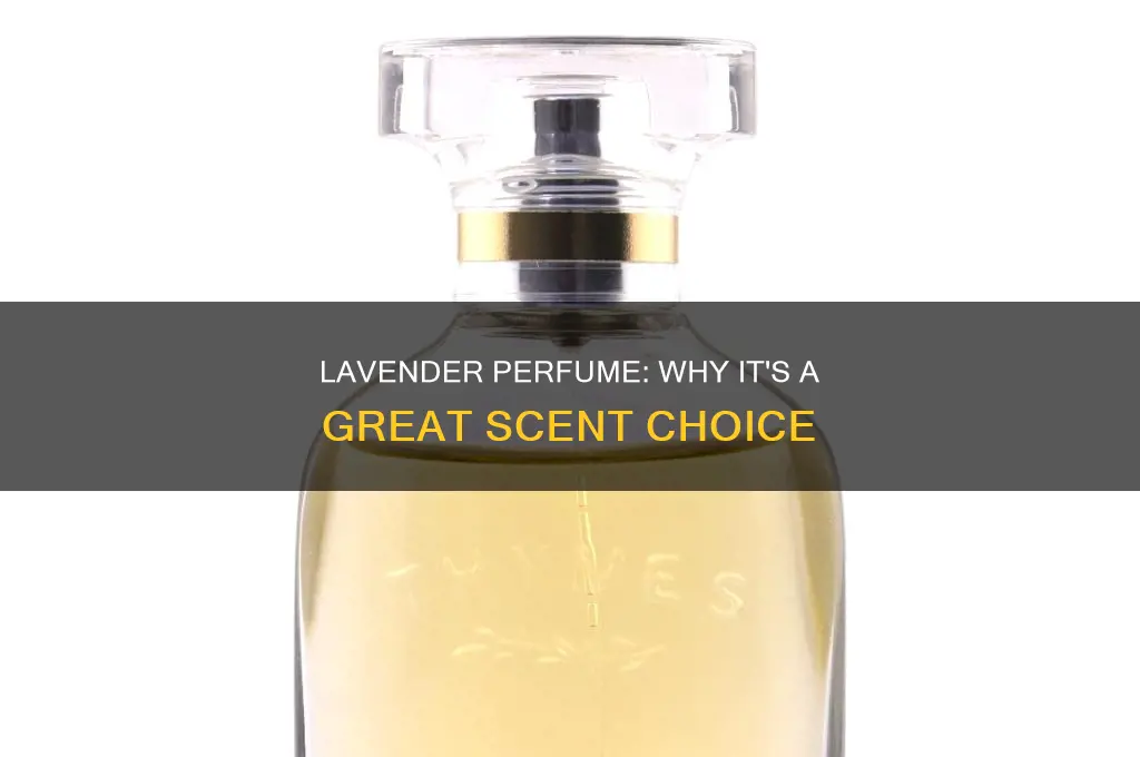 is lavender perfume good