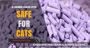 Is Lavender Scented Litter Safe for Cats? A Comprehensive Guide
