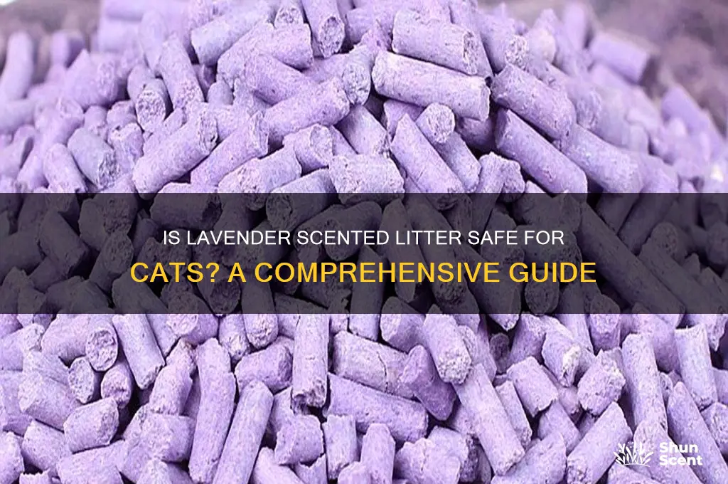 is lavender scented litter safe for cats