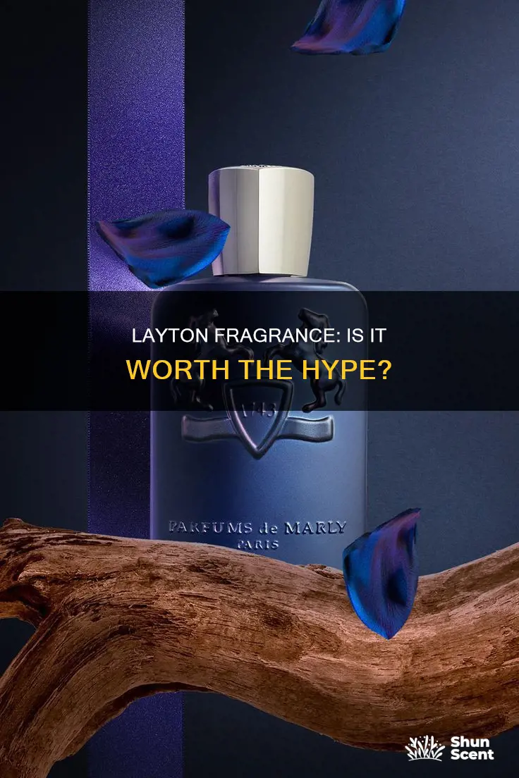 is layton a good fragrance