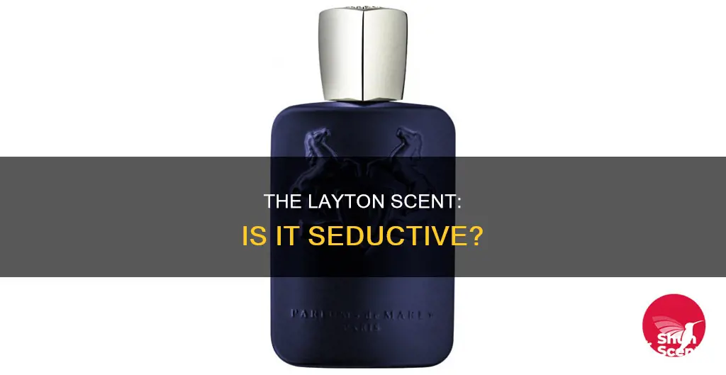 is layton a sexy cologne