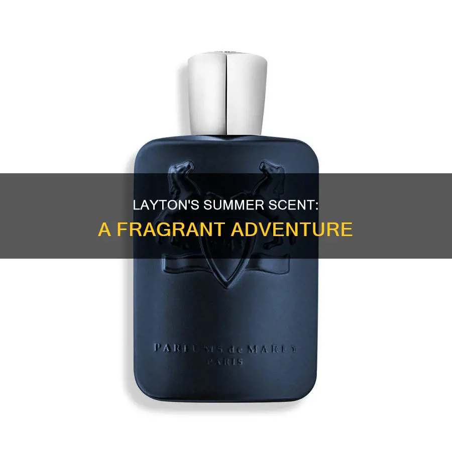 is layton a summer fragrance