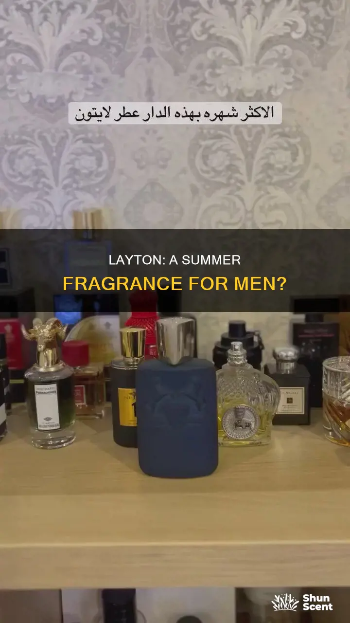 is layton a summer fragrance