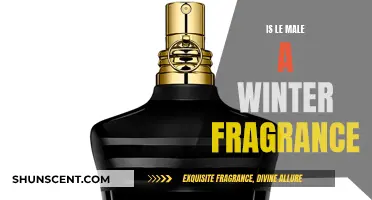 Le Male: A Winter Fragrance?