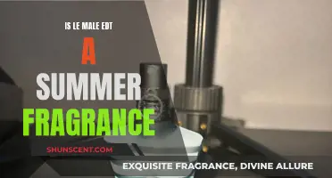 Is Le Male EDT the Perfect Summer Scent?