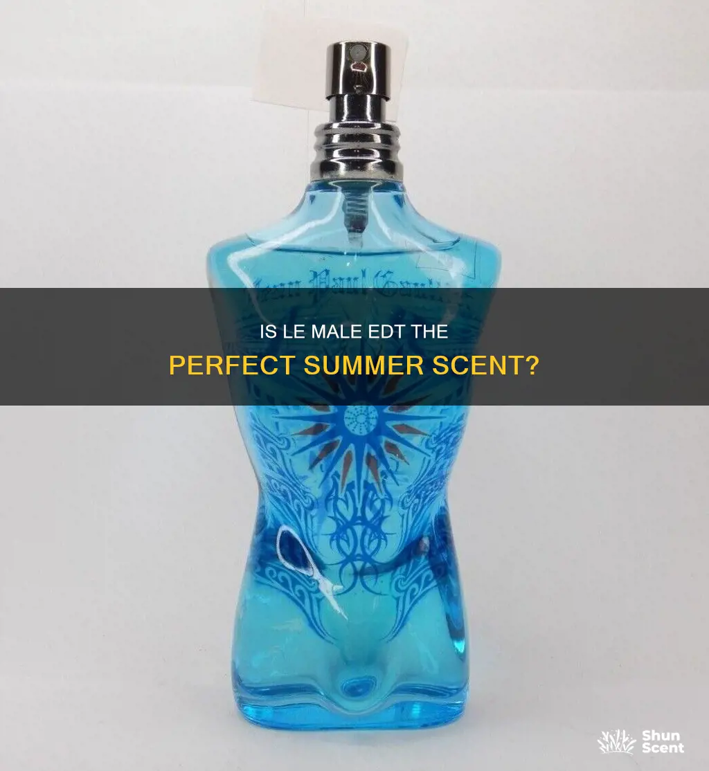 is le male edt a summer fragrance