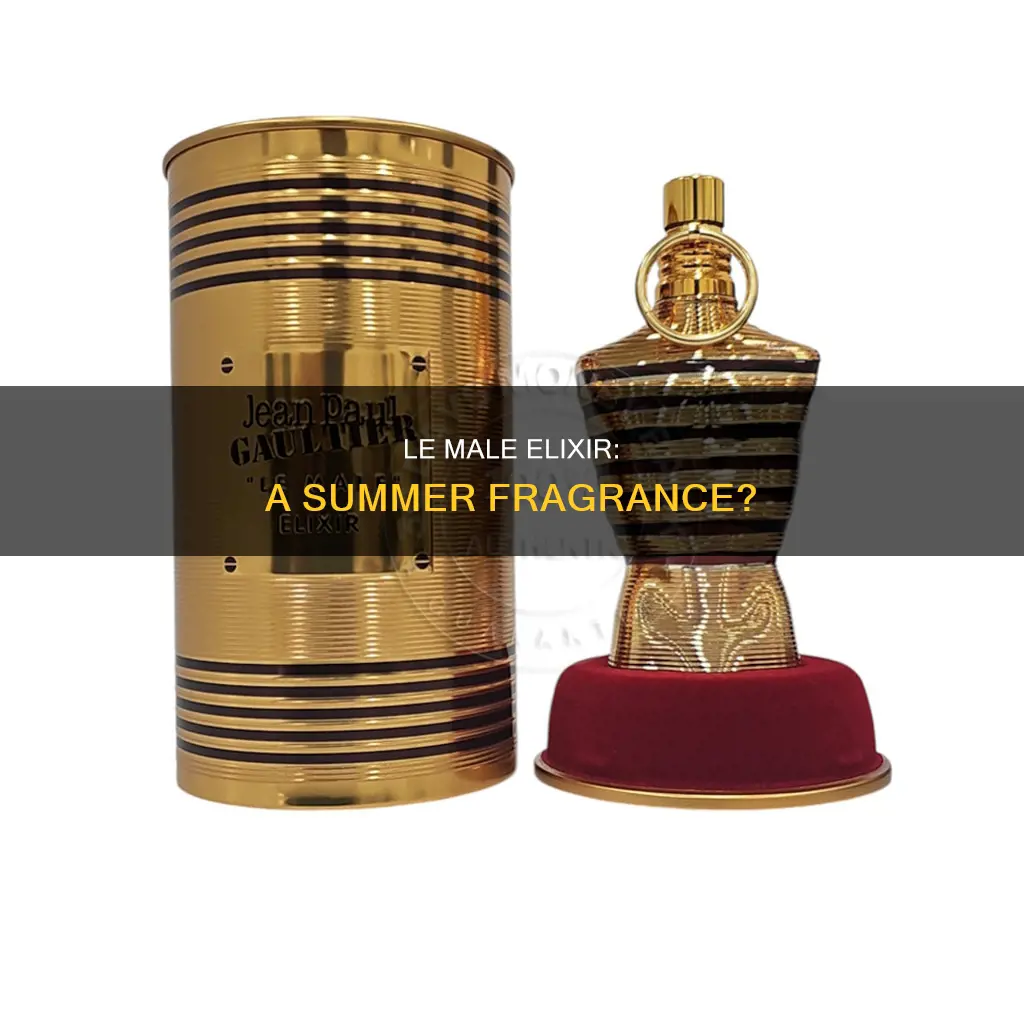 is le male elixir a summer fragrance
