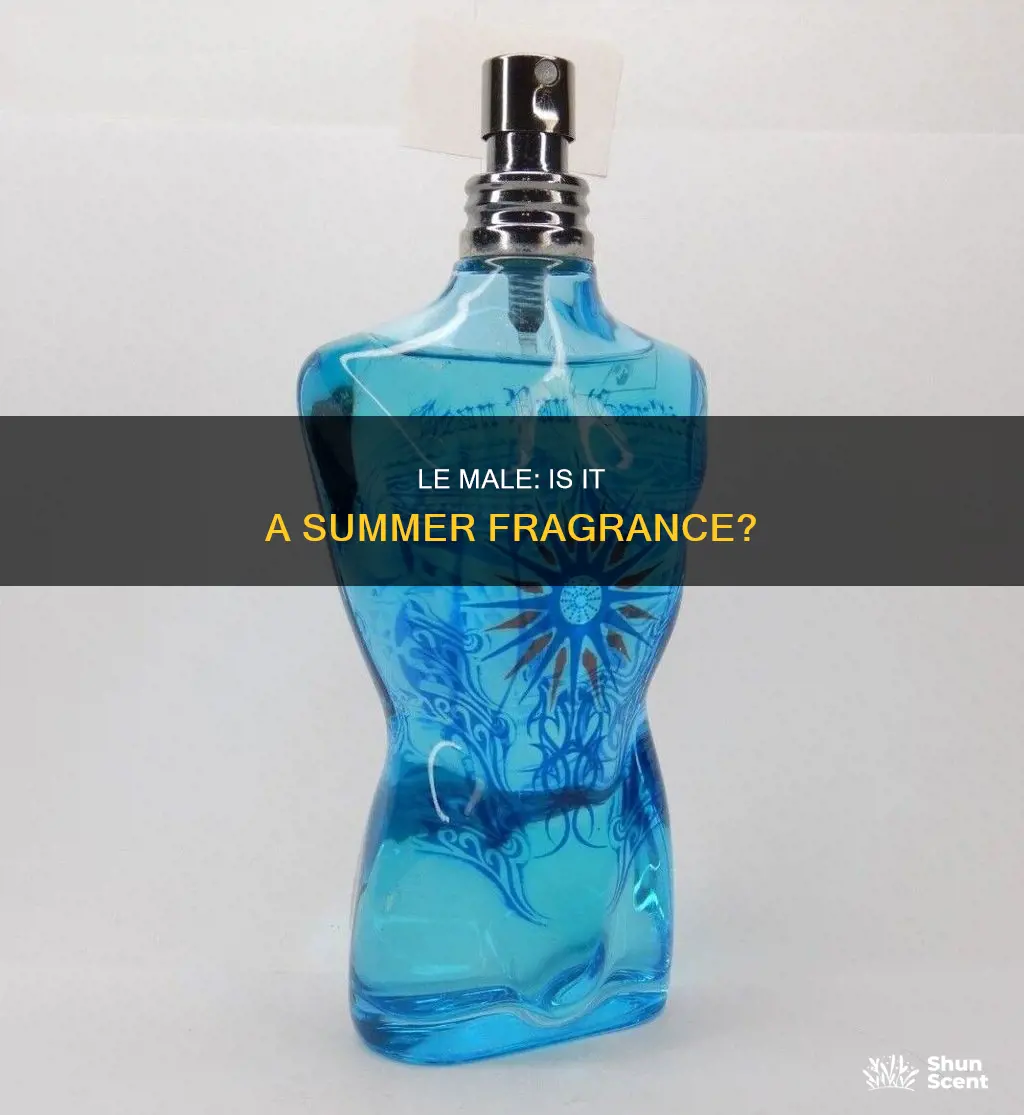 is le male le parfum a summer fragrance