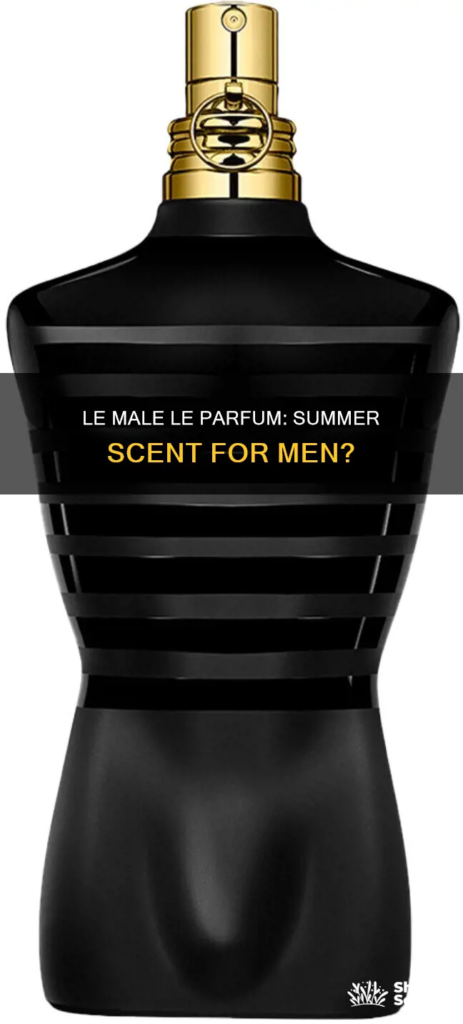 is le male le parfum a summer fragrance