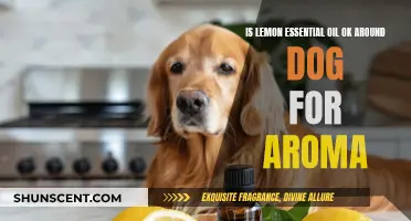 Lemon Essential Oil: Safe for Dogs?