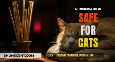 Incense and Cats: Is Lemongrass Safe?