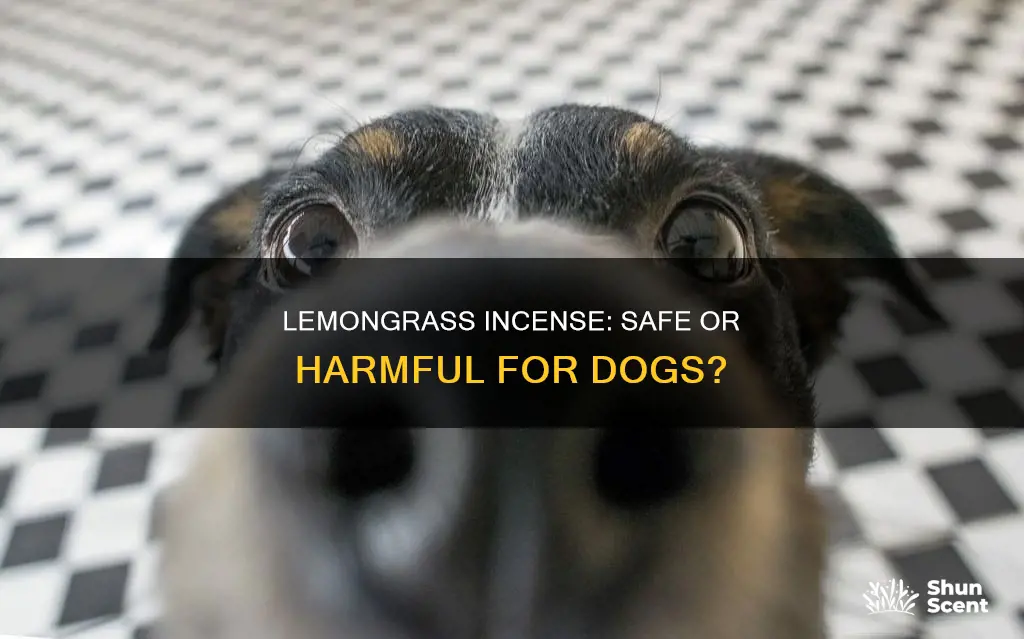 is lemongrass incense safe for dogs