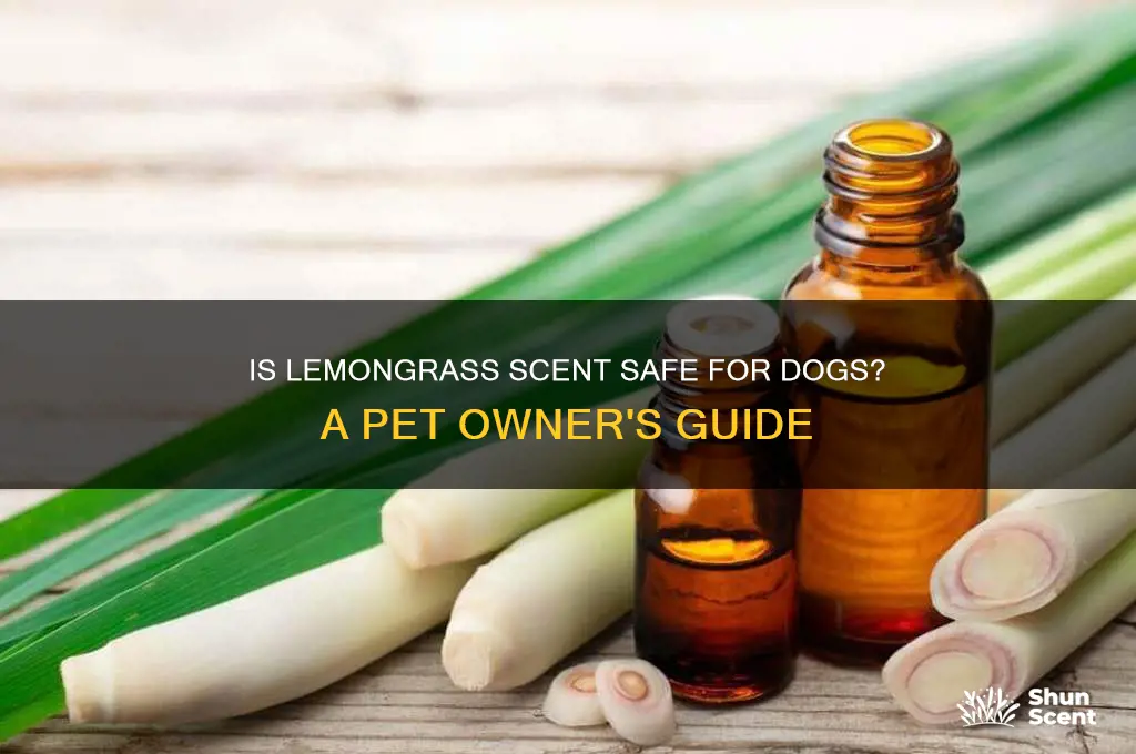 is lemongrass scent safe for dogs