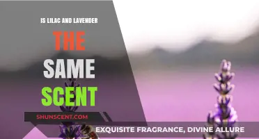 Lilac vs. Lavender: Unraveling the Scent Differences and Similarities