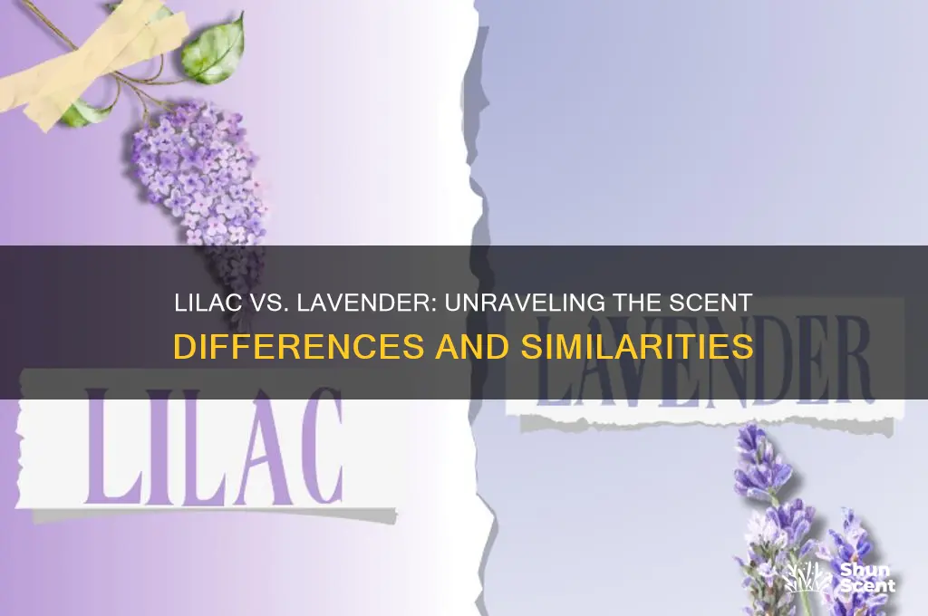 is lilac and lavender the same scent