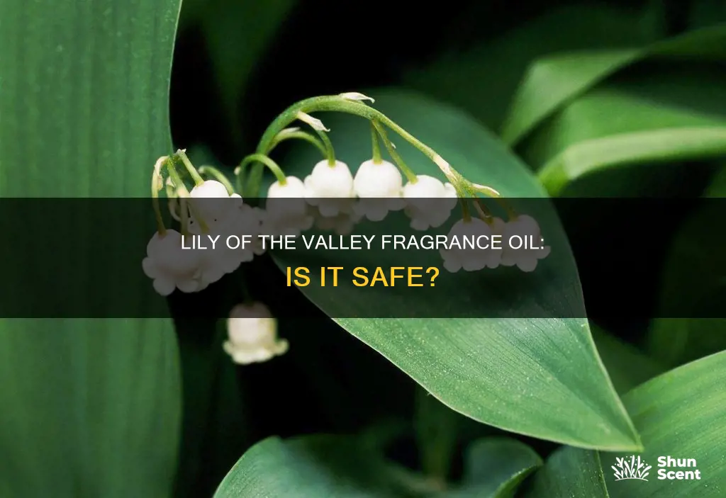 is lily if the valley fragrance oil dangerous