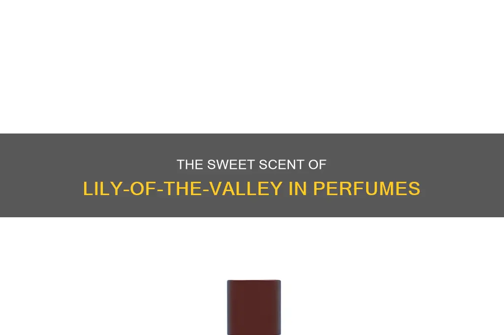 is lily of the valley really used in perfume