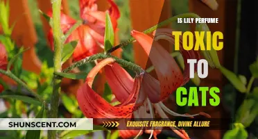 Lily Perfume: A Toxic Threat to Cats?