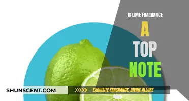 Unveiling the Mystery: Is Lime a Top Note?