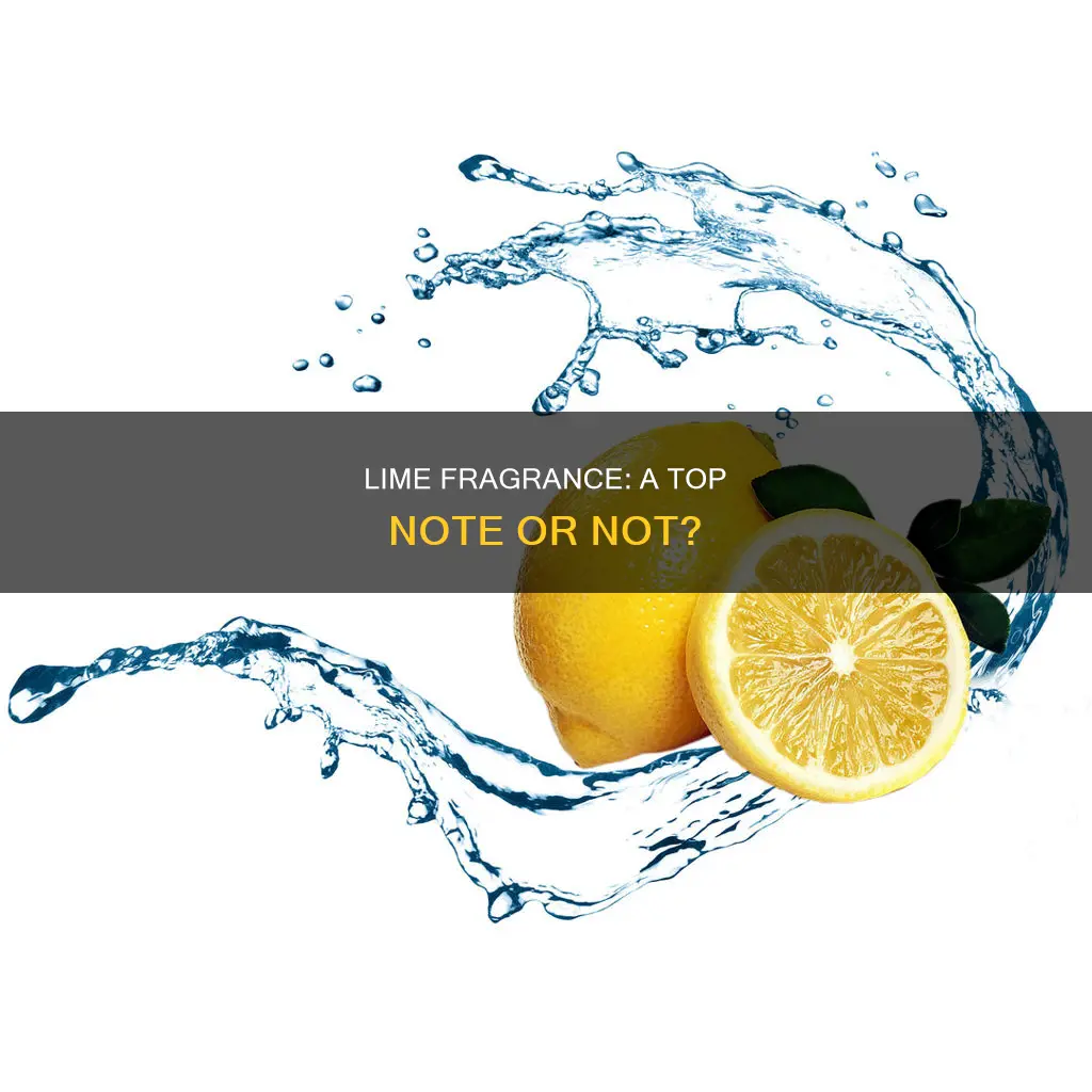 is lime fragrance a top note