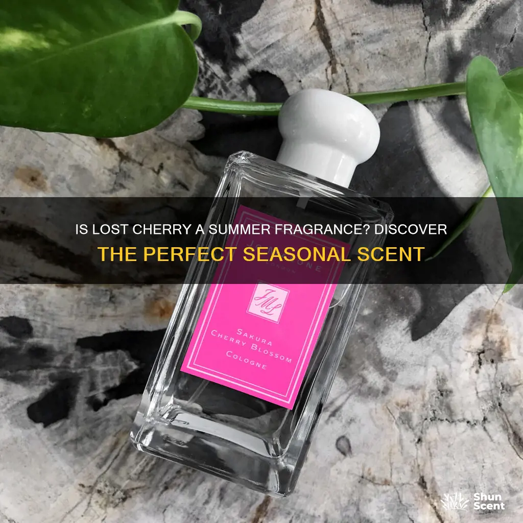 is lost cherry a summer fragrance