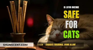 Incense Safety: Lotus Scents and Cats