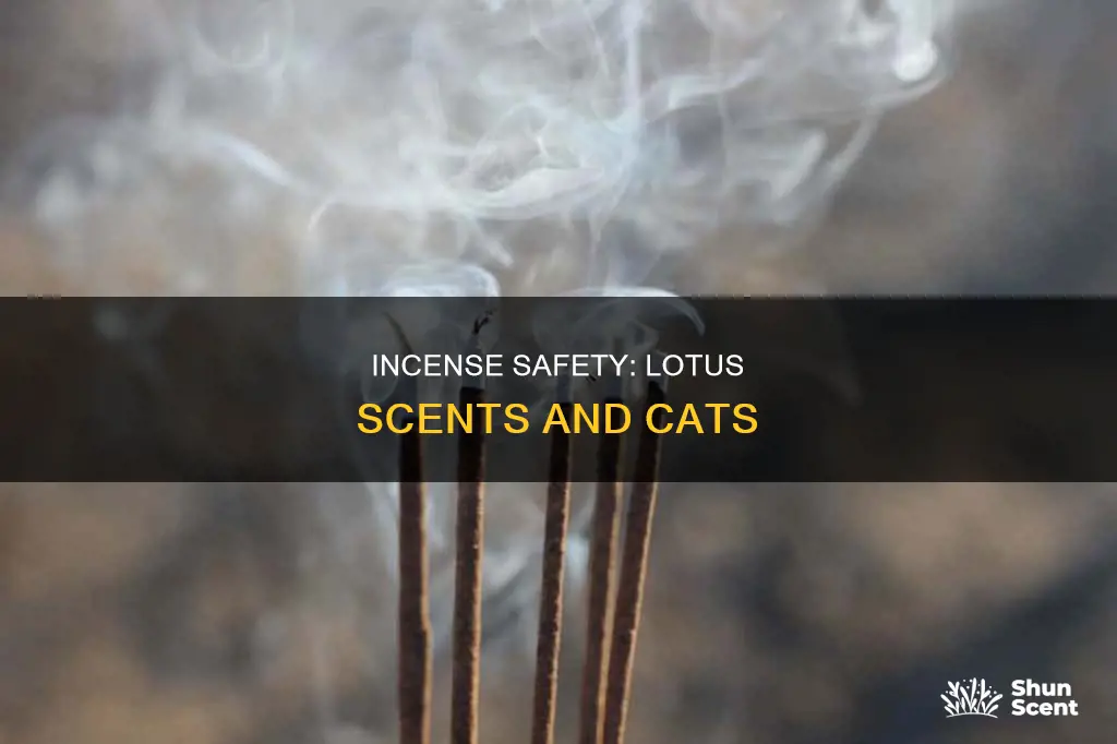 is lotus incense safe for cats