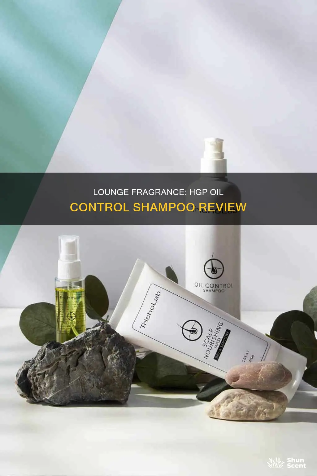 is lounge fragrance let go hgp oil control shampoo
