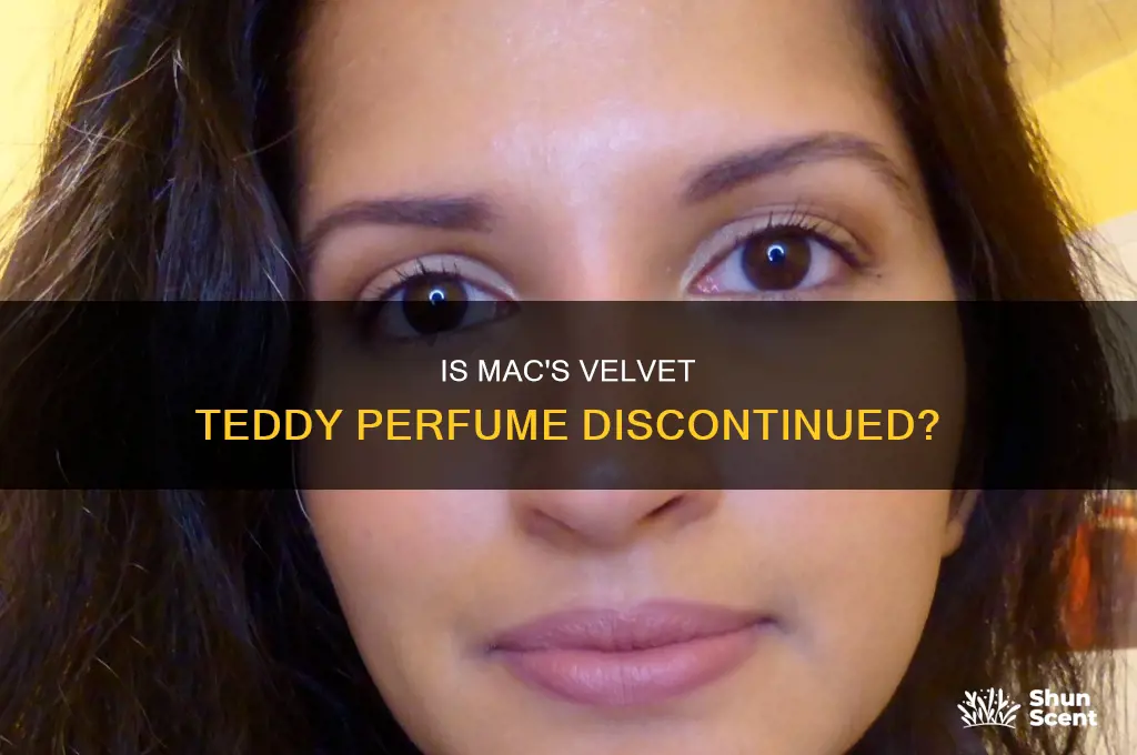 is mac velvet teddy perfume discontinued