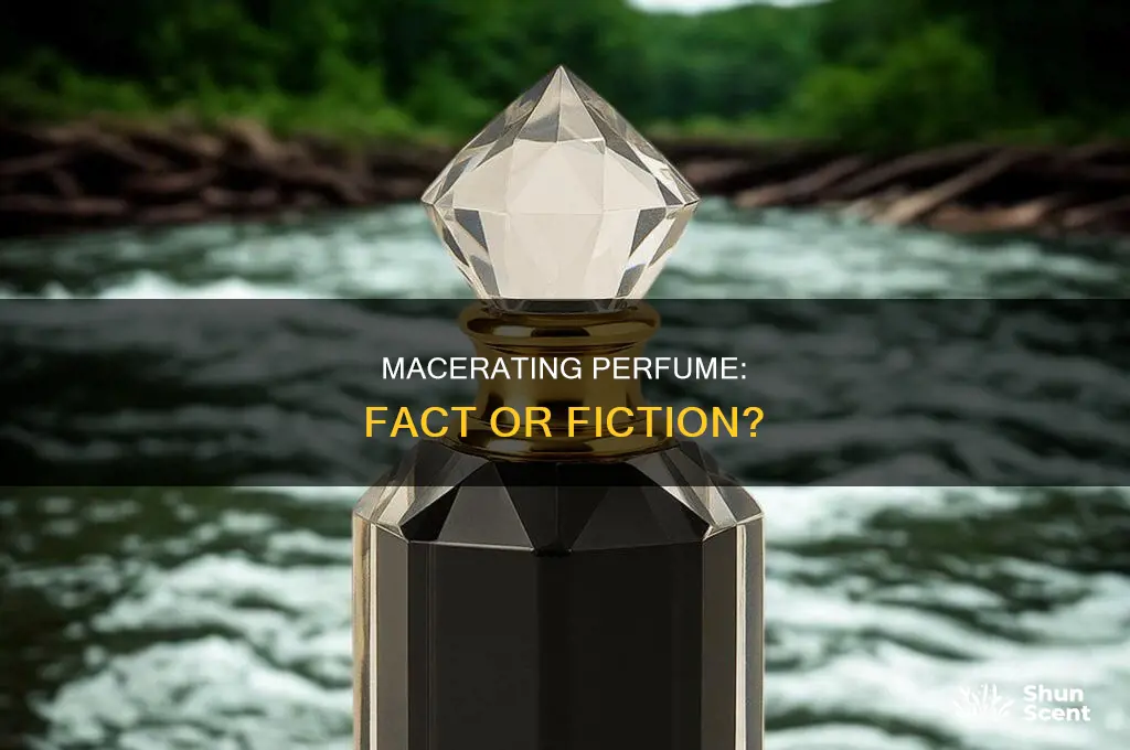 is macerating perfume real