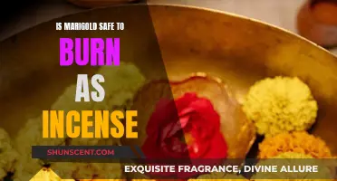 Burning Marigold Incense: Safe or Not?