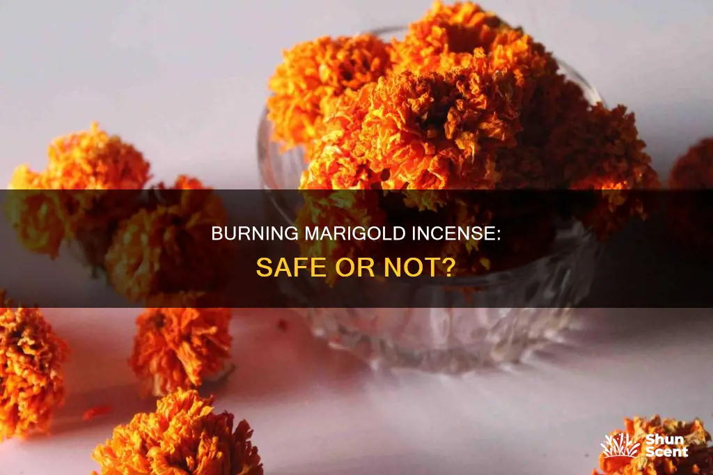 is marigold safe to burn as incense