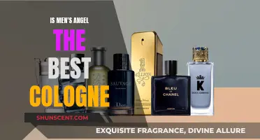 The Best Men's Cologne: A Fragrance Angelic Enough?