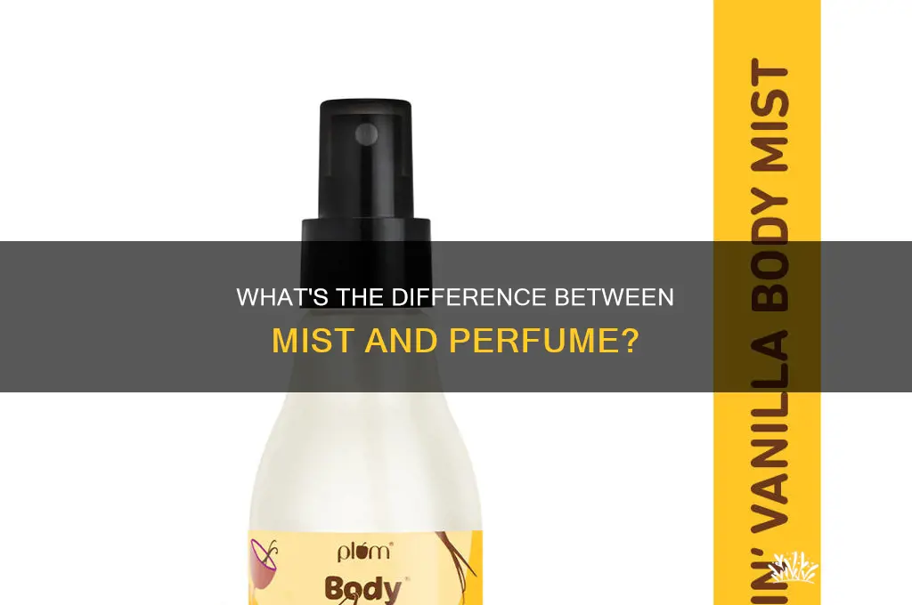 is mist and perfume same